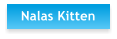 Nalas Kitten