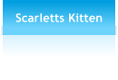 Scarletts Kitten