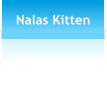 Nalas Kitten